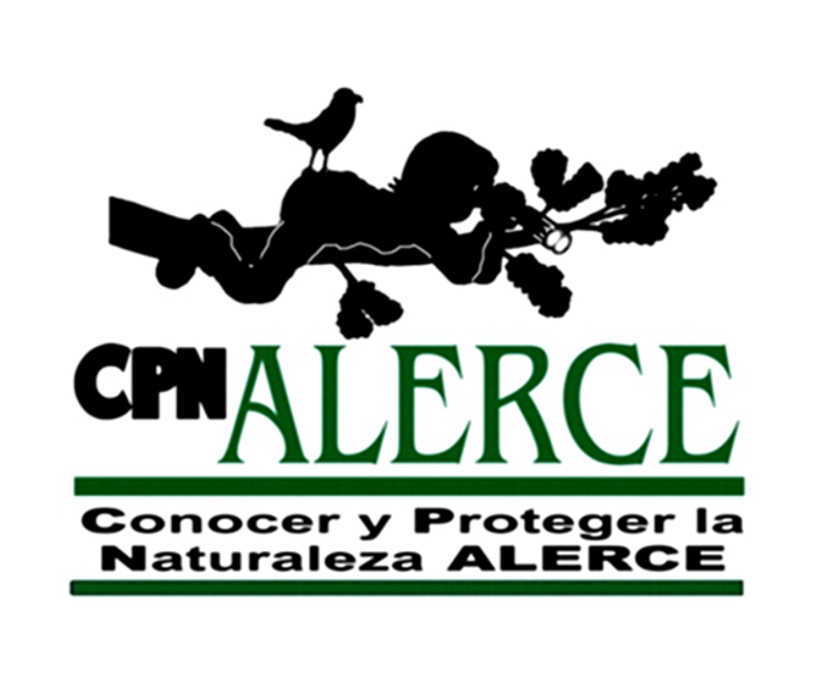 logotipo alerce